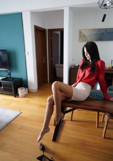 女士的法则电视剧在线观看_国产剧电影免费在线