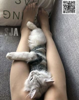 哎呦女朋友_DVD在线手机播放