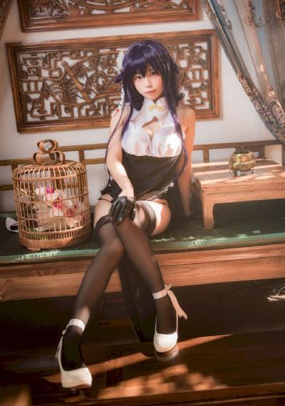 我是猫女仆_剧情片免费观看电视剧