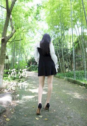 胆大党第一季在线观看_DVD手机在线看
